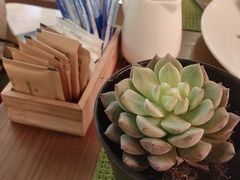 -上海波特曼丽思卡尔顿酒店