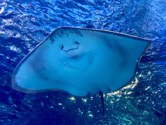 -太平洋海底世界