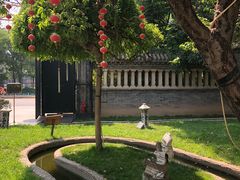 -卫鼎轩·曹公馆(鼓楼店)