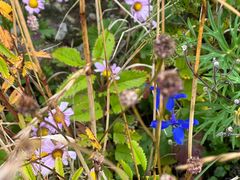 -白草畔自然风景区