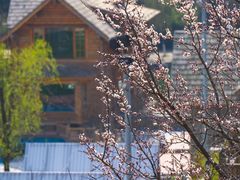 -九如山休闲旅游度假区