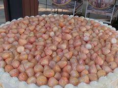 -柏尼娅PEARIA·蛋糕定制(北京SKP店)