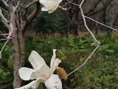-云溪植物园