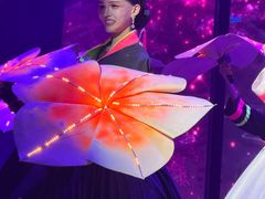 -金东尼人妖秀
