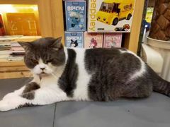 -解忧集市(北京路天河城店)