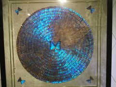 -上海昆虫博物馆