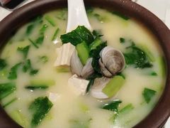青蛤豆腐汤-大铁勺新津菜(东丽阳光新业广场店)