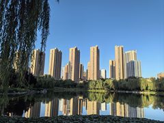 -木塔寺遗址生态公园