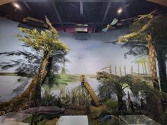 -陕西自然博物馆