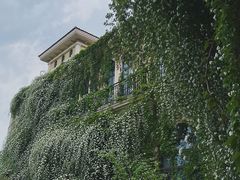 -府河摄影公园