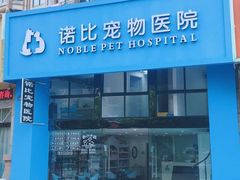 -诺比宠物医院心脏内科·泌尿肾内外科·骨科急重症