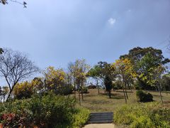 -中国移动南方基地