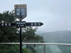 -铁山坪森林公园