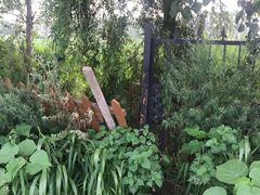 -白渔泡湿地公园