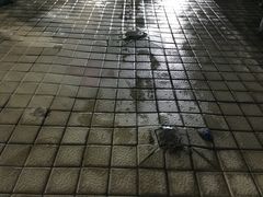 -黄金海岸水上乐园