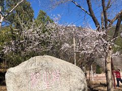 -北京十三陵国家森林公园蟒山景区