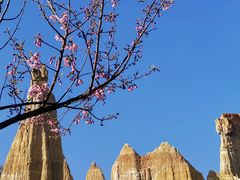 -元谋浪巴铺土林景区
