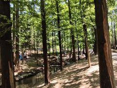 -白水寺森林公园