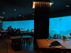 -海棠湾洲际-涛·海底餐厅·美人鱼·自助餐·海底隧道