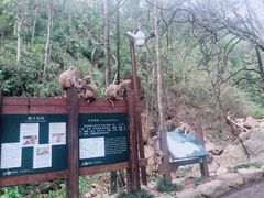 -姑婆山旅游区