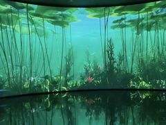 -中国湿地博物馆