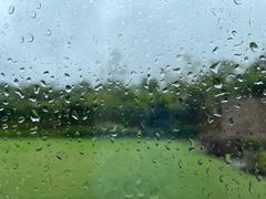 -上海崇明金茂凯悦酒店