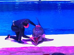 -华夏文旅海洋公园