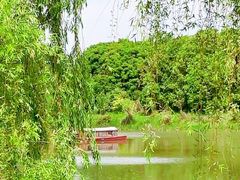 -白鹭湾湿地公园