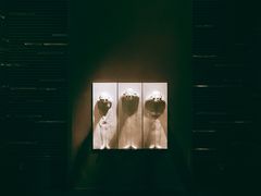 -上海柏悦酒店·世纪100牛排馆