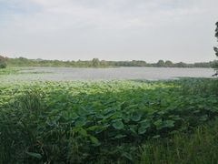 -东湖落雁景区