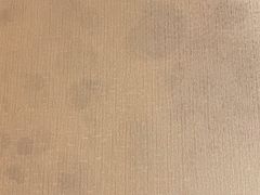 -北京国玉大酒店(鸟巢科技馆店)