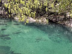 -石台牯牛降景区