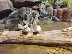 -苏州海洋馆