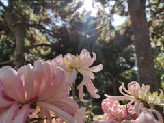 景点-沈阳中山公园