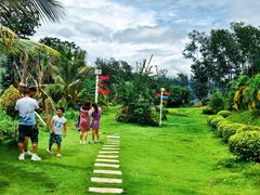 -瑞丽独树成林风景区