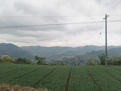 -金堂县云顶石城风景区