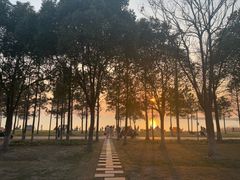 -苏州湾体育公园