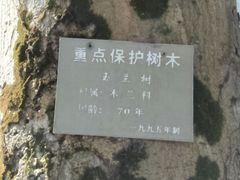 -徐悲鸿故居