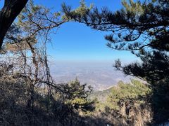 -鲁山国家森林公园