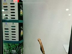 -丹礼糖甜品