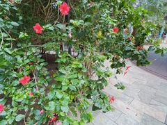 -龙达温泉生态城