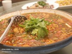 鱼蛋-飞虹鱼馆(春华路店)