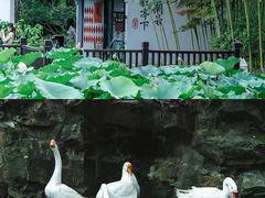 -兰亭风景区