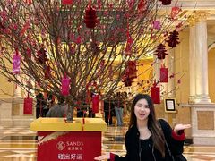 -澳门威尼斯人综合度假区