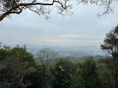 -火炉山森林公园