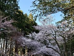 -北海道神宫