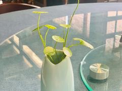 -野蔓果·山野菜(西湖景区·龙井茶田店)
