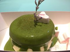 -狐狸和向日葵(北京路店)