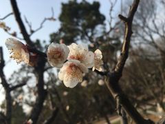 -共青国家森林公园-售票处