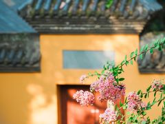 -灵隐寺